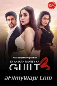 Ek Anjaan Rishtey Ka Guilt 3 (2024) Hindi Movie