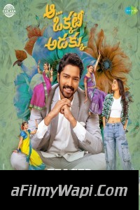 Aa Okkati Adakku (2024) Hindi Dubbed Movie