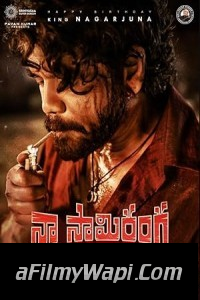 Naa Saami Ranga (2024) Hindi Dubbed Movie