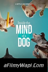 Inside the Mind of a Dog (2024) Hollywood Hindi Dubbed