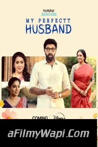 My Perfectt Husband (2024) Hindi Web Series