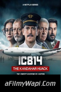 IC 814 - The Kandahar Hijack (2024) Hindi Web Series