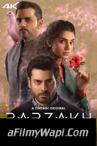 Barzakh (2024) Hindi Web Series