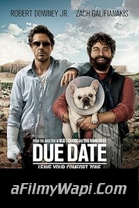 Due Date (2010) Hollywood Hindi Dubbed