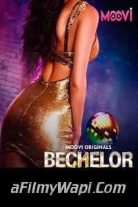 Bachelor Party (2024) Part 3 Moovi Hindi Unrated Web Series