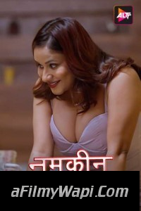 Namkeen Kisse (2024) Hindi Web Series