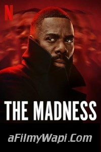 The Madness (2024) Hindi Web Series