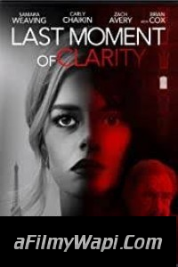 Last Moment of Clarity (2020) Hindi Dubbed