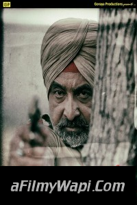 Gawachi Pagg (2017) Punjabi Movie