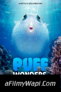 Puff Wonders of the Reef (2021) Hindi Dubbed