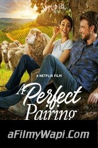 A Perfect Pairing (2022) Hindi Dubbed