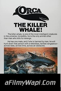 Orca The Killer Whale (1977) Hindi Dubbed