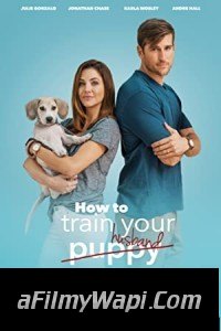 How To Train Your Husband (2017) Hindi Dubbed