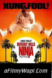 Beverly Hills Ninja (1997) Hindi Dubbed