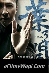 Ip Man 3 (2015) Hindi Dubbed