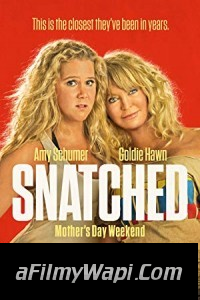 Snatched (2017) Hindi Dubbed