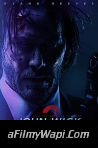 John Wick Chapter 2 (2017) Hindi Dubbed