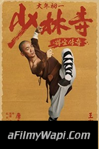 Rising Shaolin The Protector (2021) Hindi Dubbed