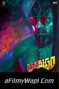 Thippara Meesam (2019) Hindi Dubbed Movie