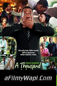 A Thousand Words (2012) Hindi Dubbed