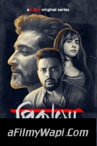 Picasso (2023) Bengali Web Series