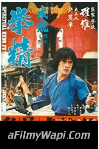 Spiritual Kung Fu (1978) Hindi Dubbed