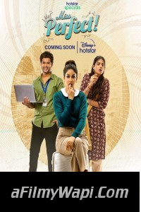 Miss Perfect (2024) Hindi Web Series