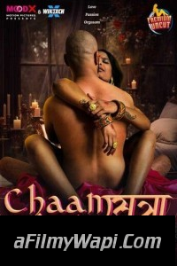 Chaam Sutra (2024) MoodX Hindi Unrated Web Series