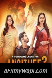 Angithee 3 (2024) Hindi Movie