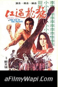 The Way of the Dragon (1972) Hindi Dubbed